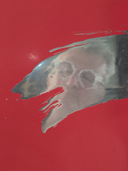 Spiegelbild im Strich